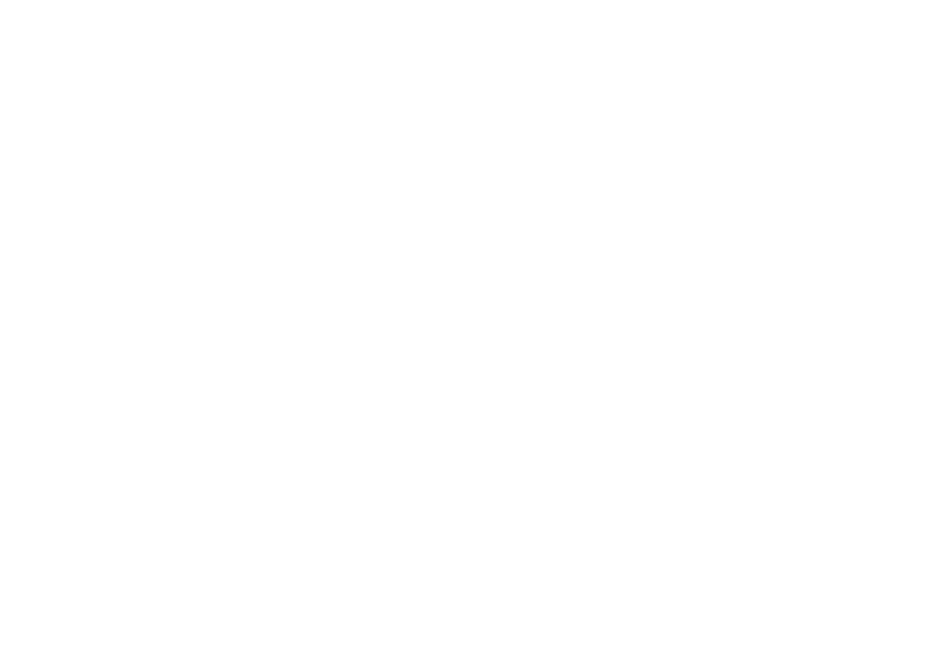 Logo-ANFIR